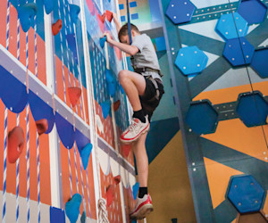 Crazy Climber